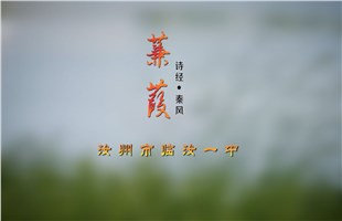 《蒹葭》MV